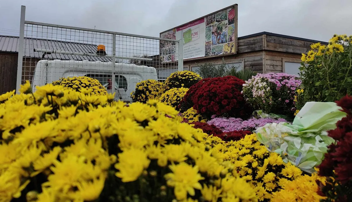 Fleurs 2.jpg (343 KB)