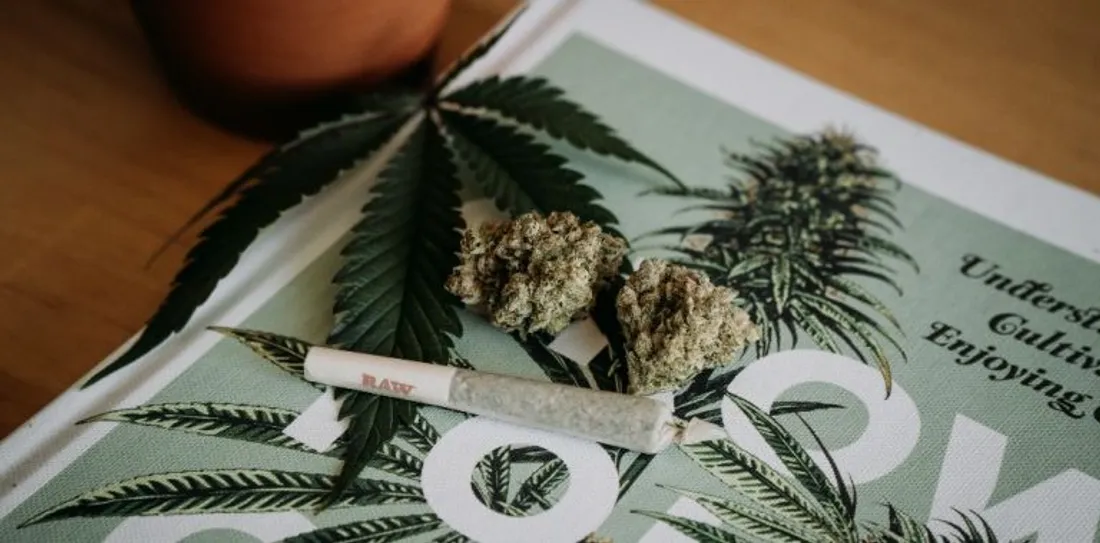 Cannabis : les conséquences sur les jeunes et les insomnies 