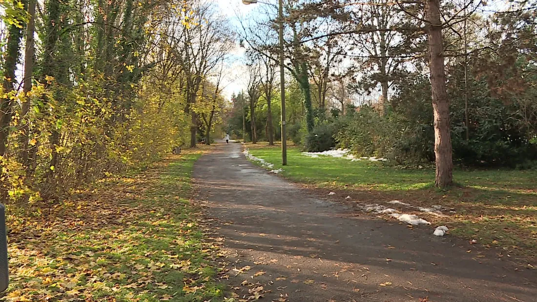 Jeune suspect de 14 ans dans une série d'agressions sexuelles à Mulhouse