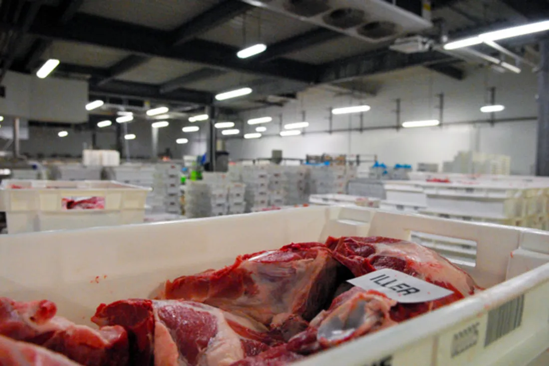 [ JUSTICE ] Fraude à la viande de cheval: Jusqu'à 2 ans de prison pour l'auteur 