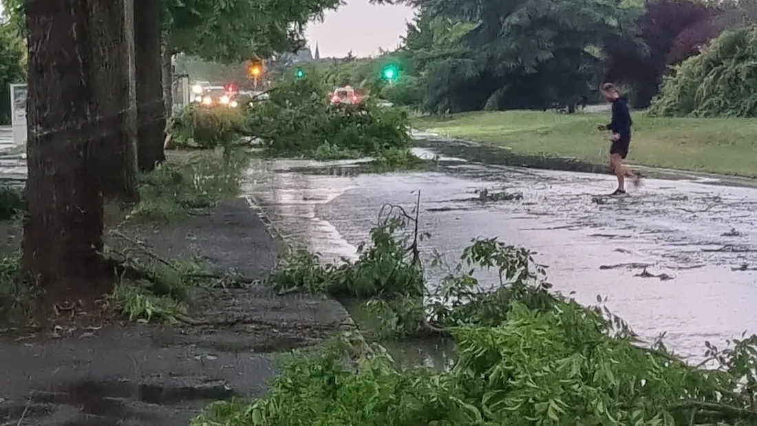 arbre tombés chartres