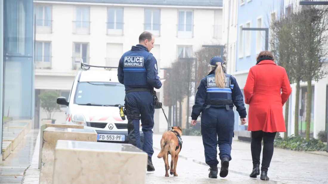 police municipale chartres cynophile chien