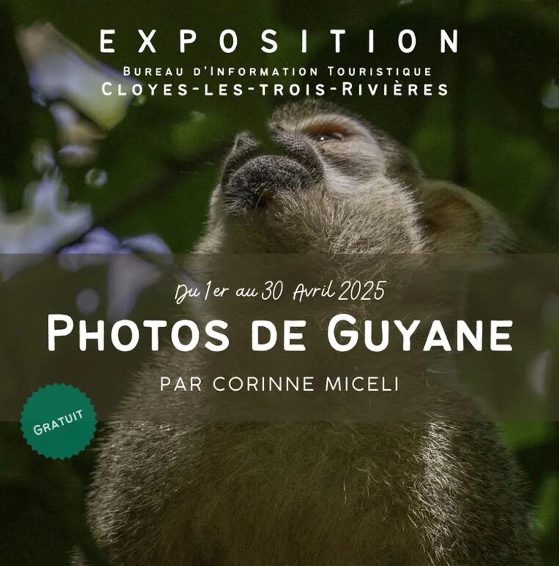 expo guyane cloyes