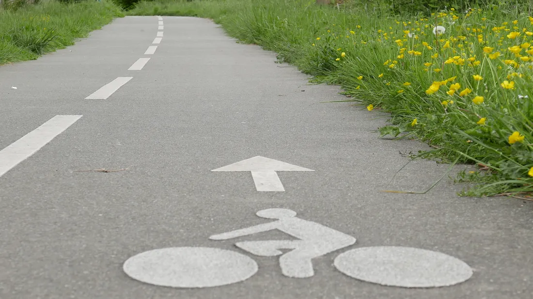 Piste cyclable,  nature