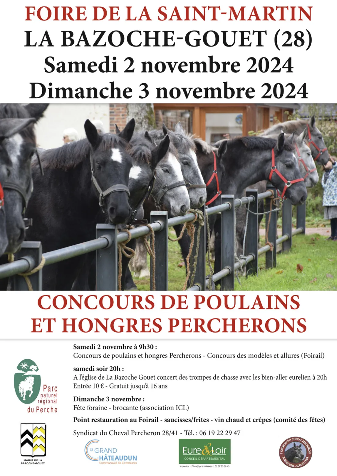 LA BAZOCHE-GOUËT - Foire de la Saint Martin : concours de poulain