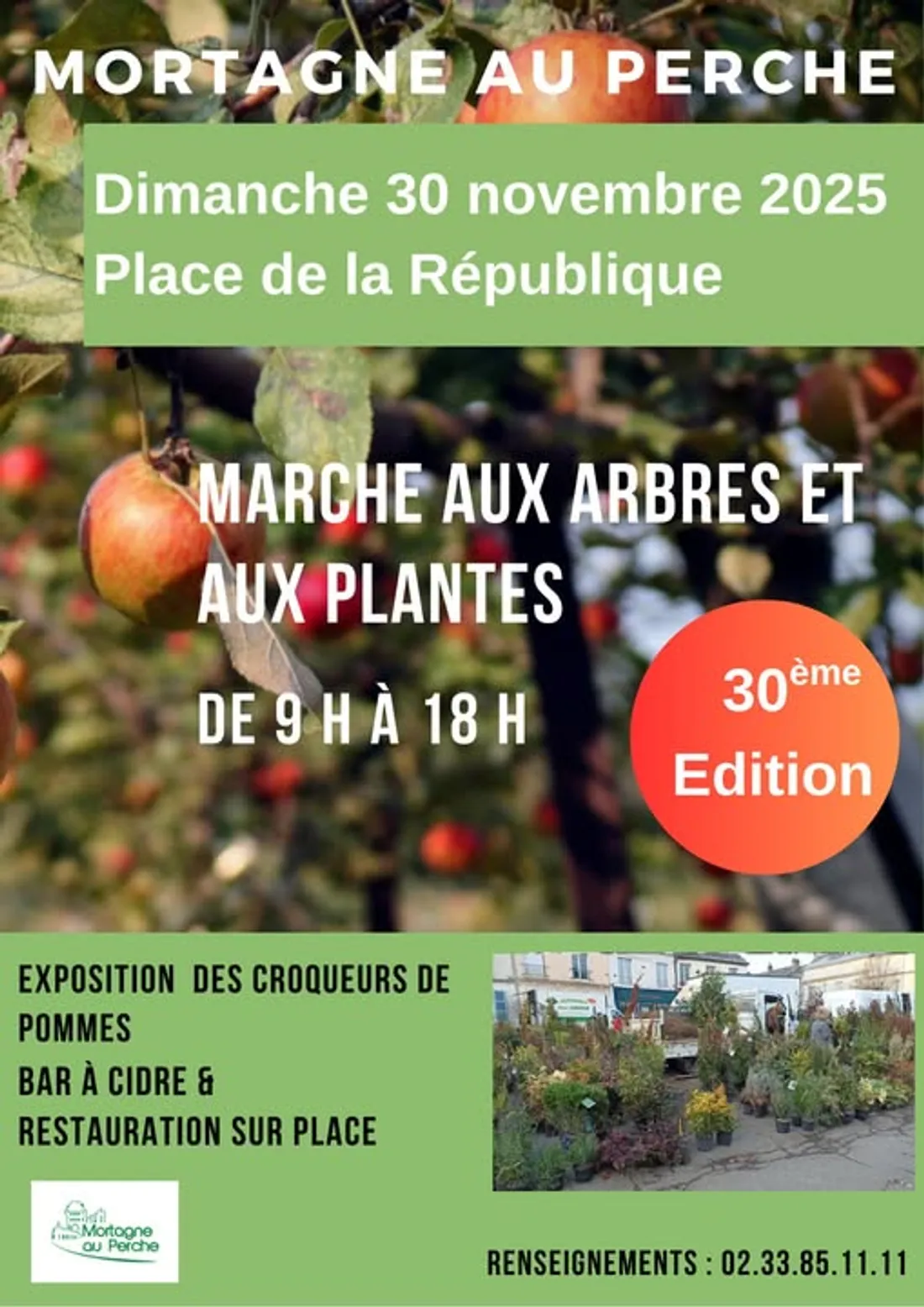 MORTAGNE-AU-PERCHE (61) - 30ᵉ Marché aux Arbres