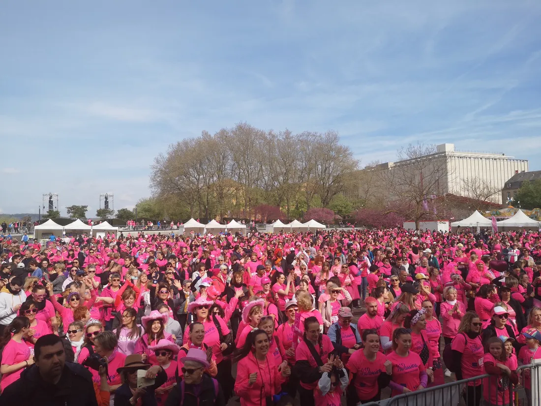 Une foule de rose