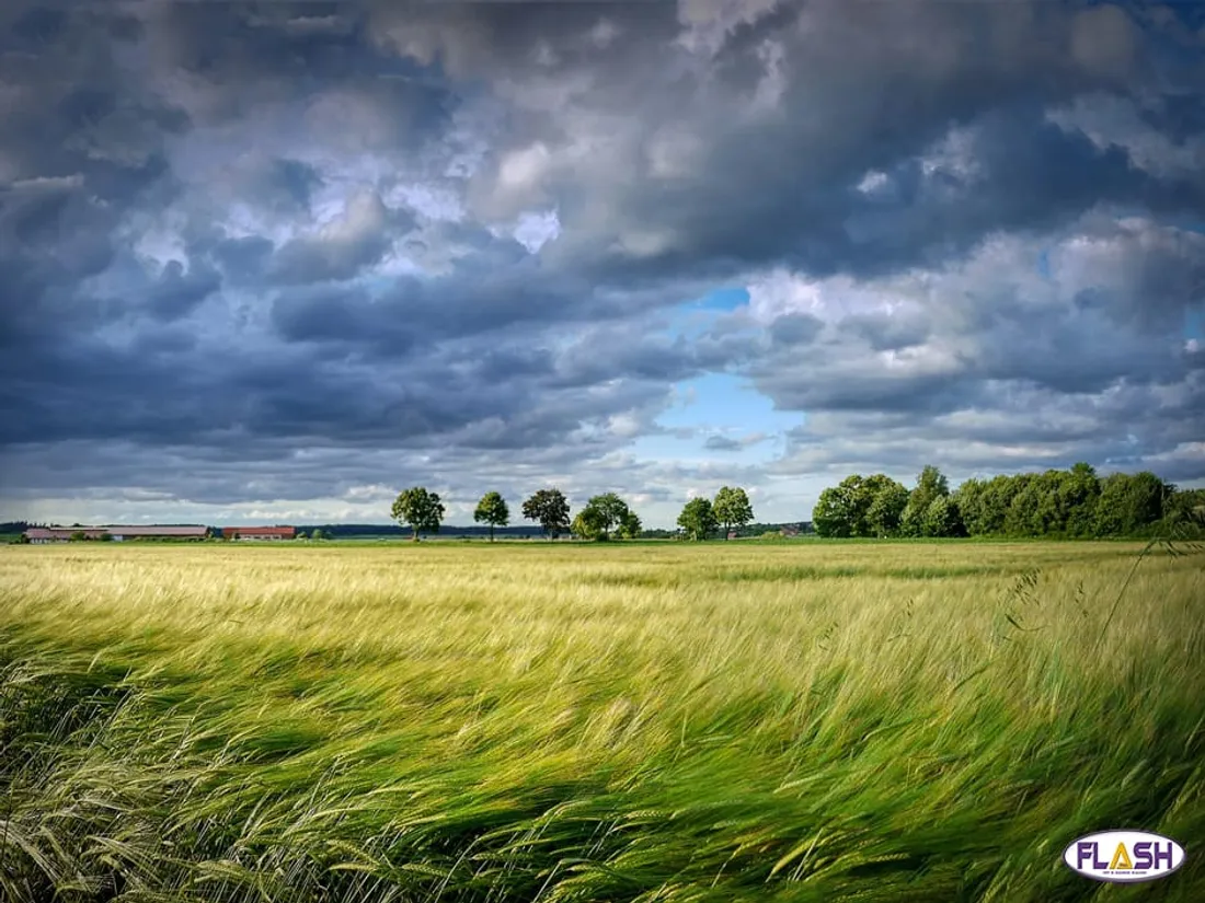 Vigilance météo 21 novembre 2024