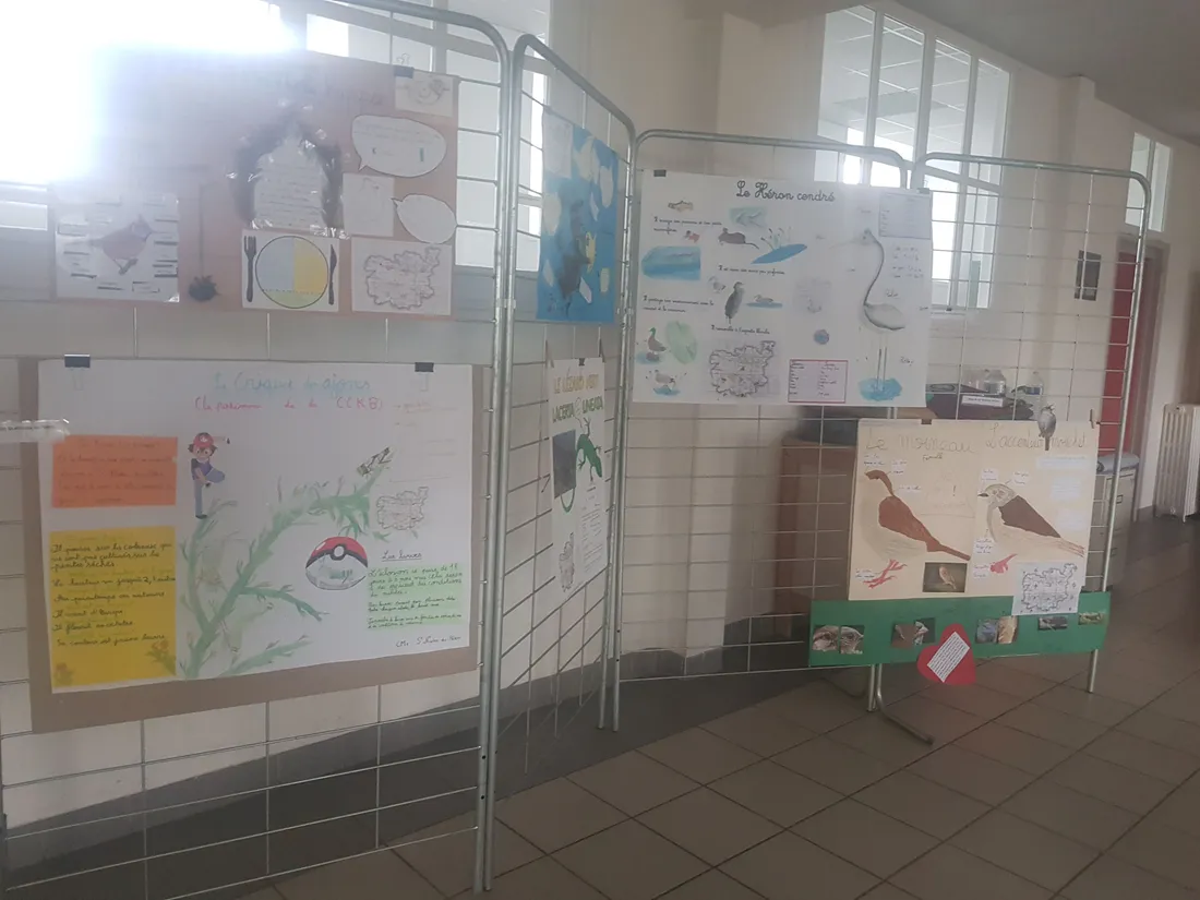 Exposition Atlas dans l'école
