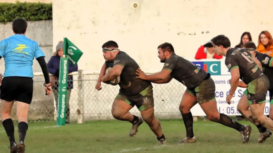 Le Sporting : une année 2024 sous le signe de la réussite