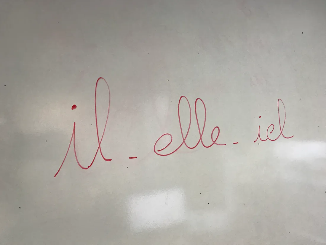 Le Robert fait entrer provisoirement le pronom "iel" dans son dictionnaire en ligne.