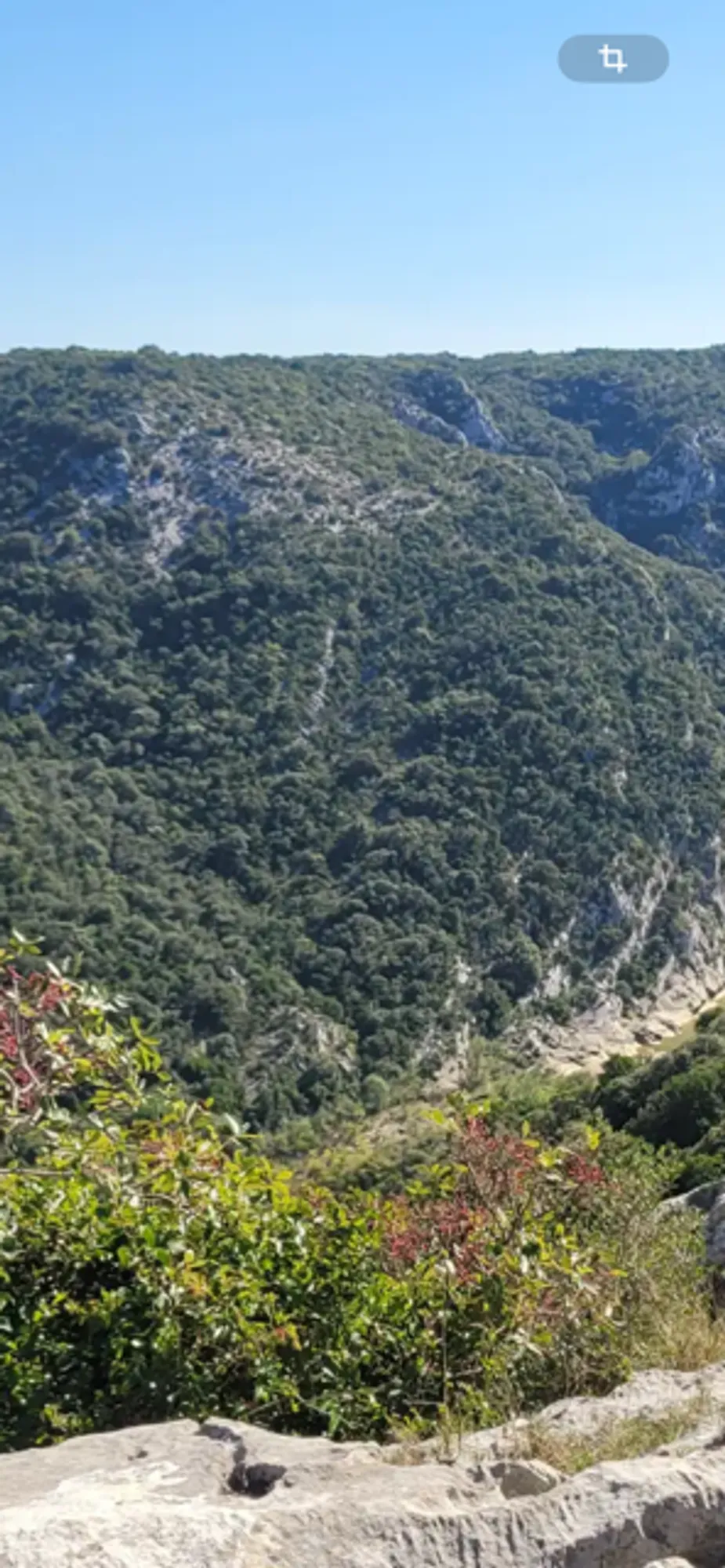 L'homme de 77 ans a passé trois jours dans un profond ravin où il avait chuté à vélo 