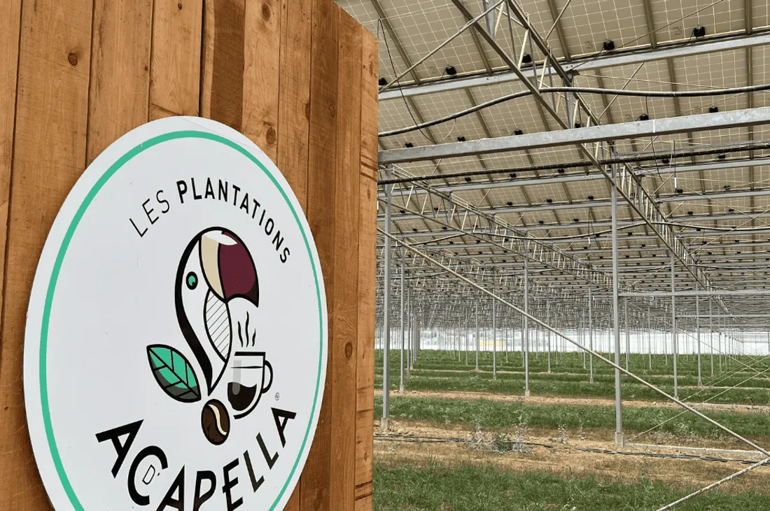 Les Plantations d'Acapella.