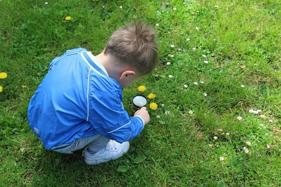 Fête de la science Pyrénées orientales