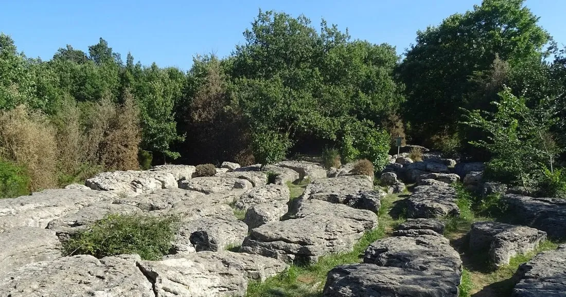 Labyrinthe vert de Nébias