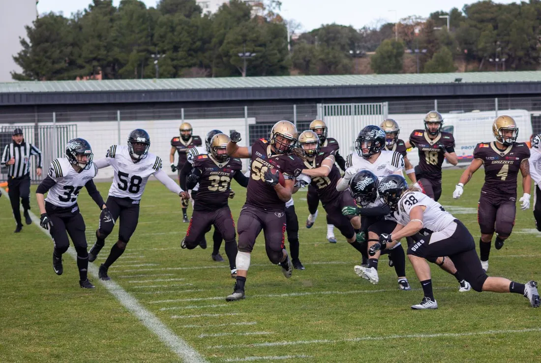 Vers une professionnalisation des Grizzlys Catalans