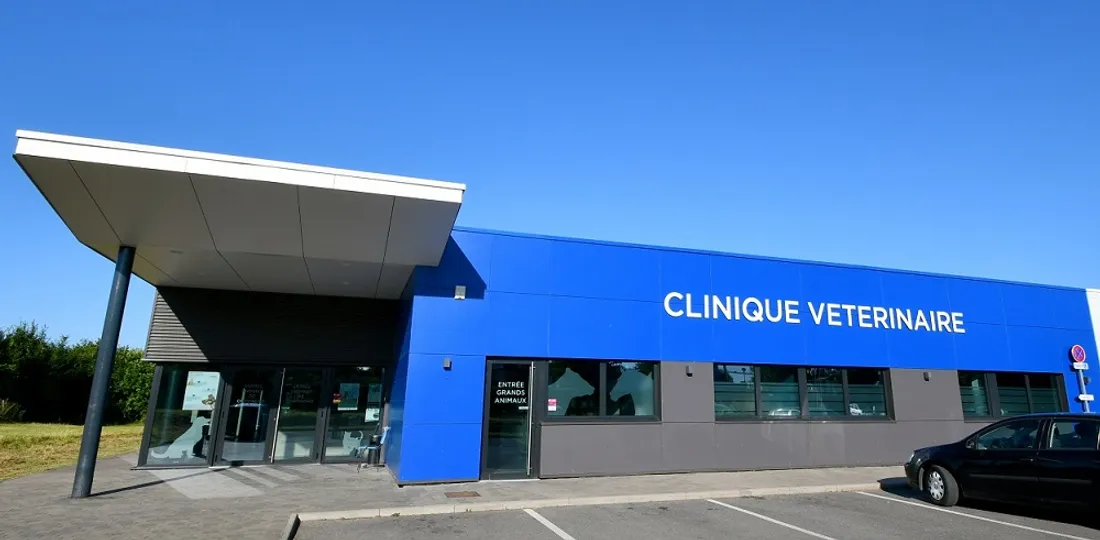 clinique véto Maroilles