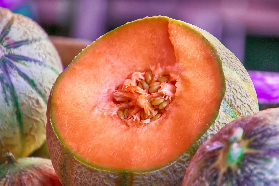Le melon est la star de l'été
