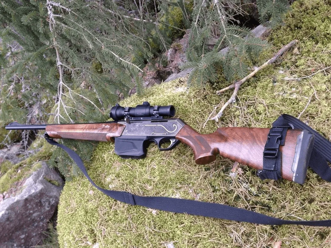 Le drame s'est produit lors d'une battue aux sangliers à Goudelin (22).