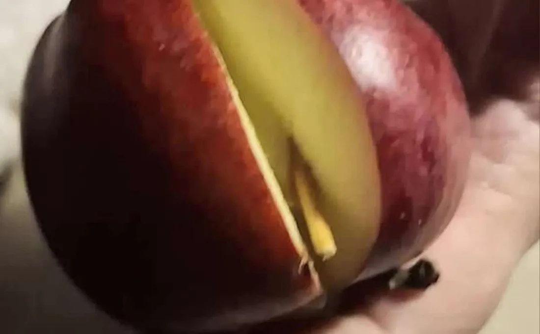 Ce qu'elle trouve dans ses pommes de chez Lidl va vous étonner !