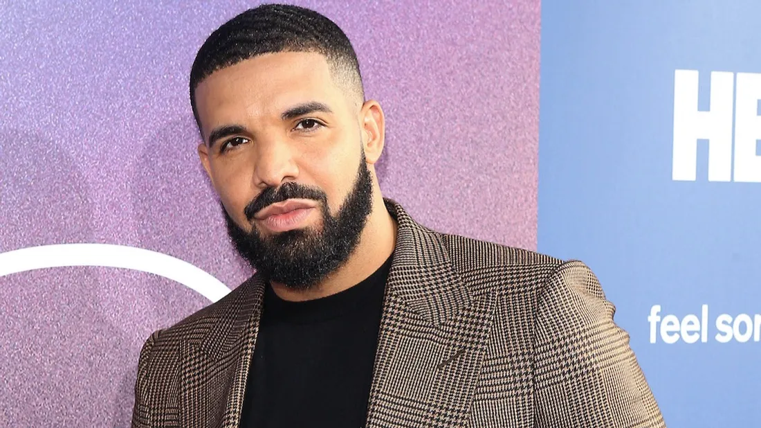 Drake investit dans le poulet végétal !