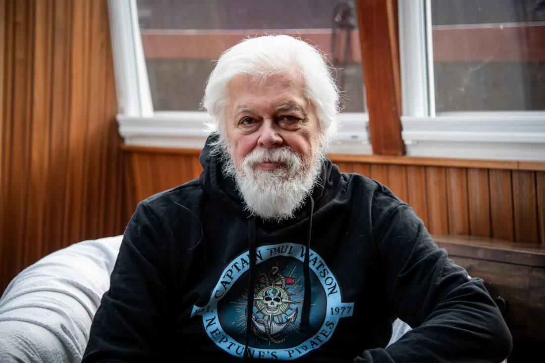 Paul Watson, défenseur des océans, enfin libre