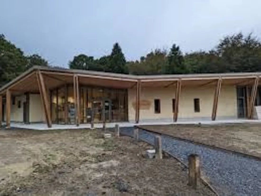 Marché de la forêt