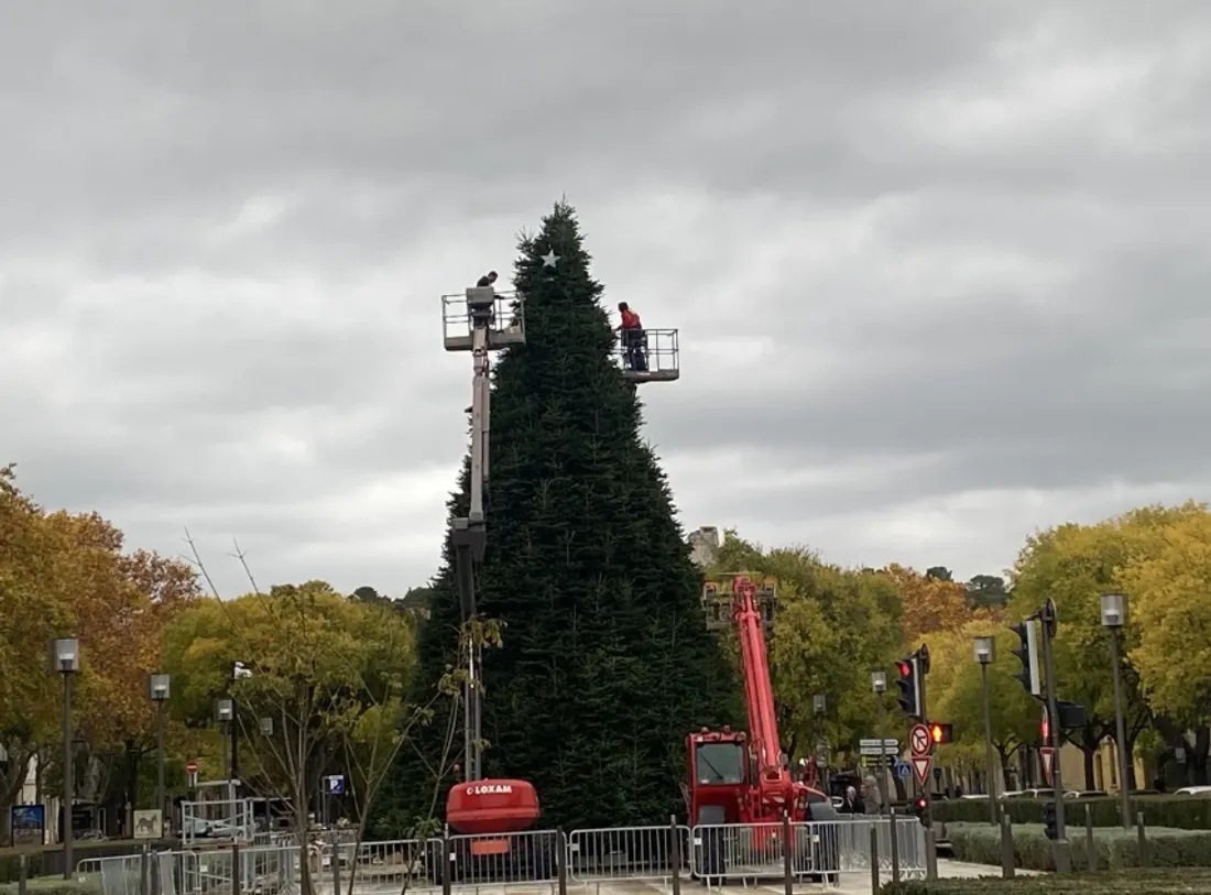 Installation du sapin de Noël géant à Nîmes : préparez-vous pour le 29 novembre