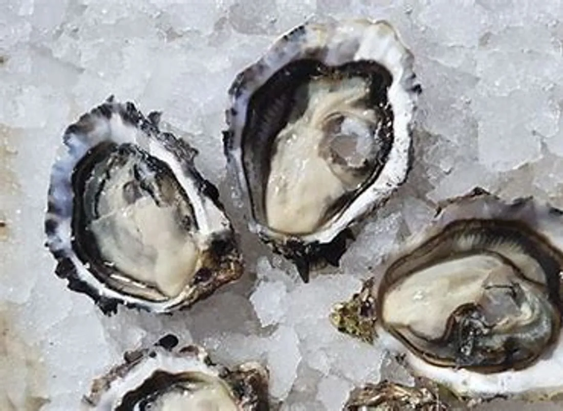 L'Excellence de la Conchyliculture en Camargue