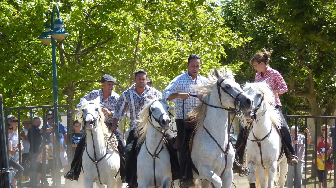 [ CULTURE - ST GILLES ] LA DATE DE LA FERIA DE LA PECHE ET DE L'ABRICOT DEVOILEE 