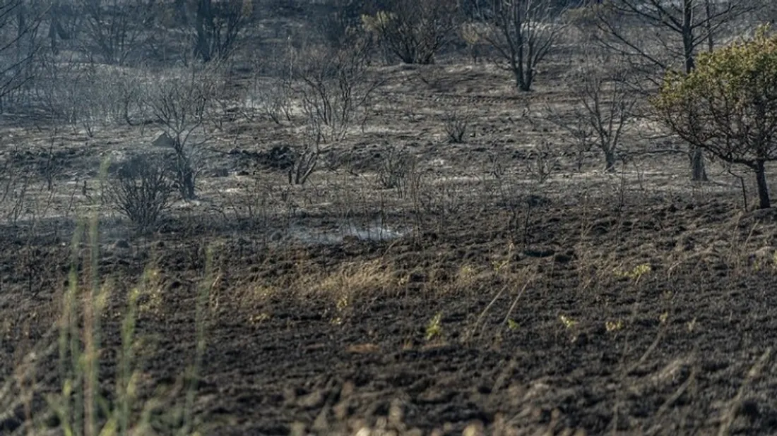 [ ENVIRONNEMENT ] Vigilance rouge pour les départs de feux