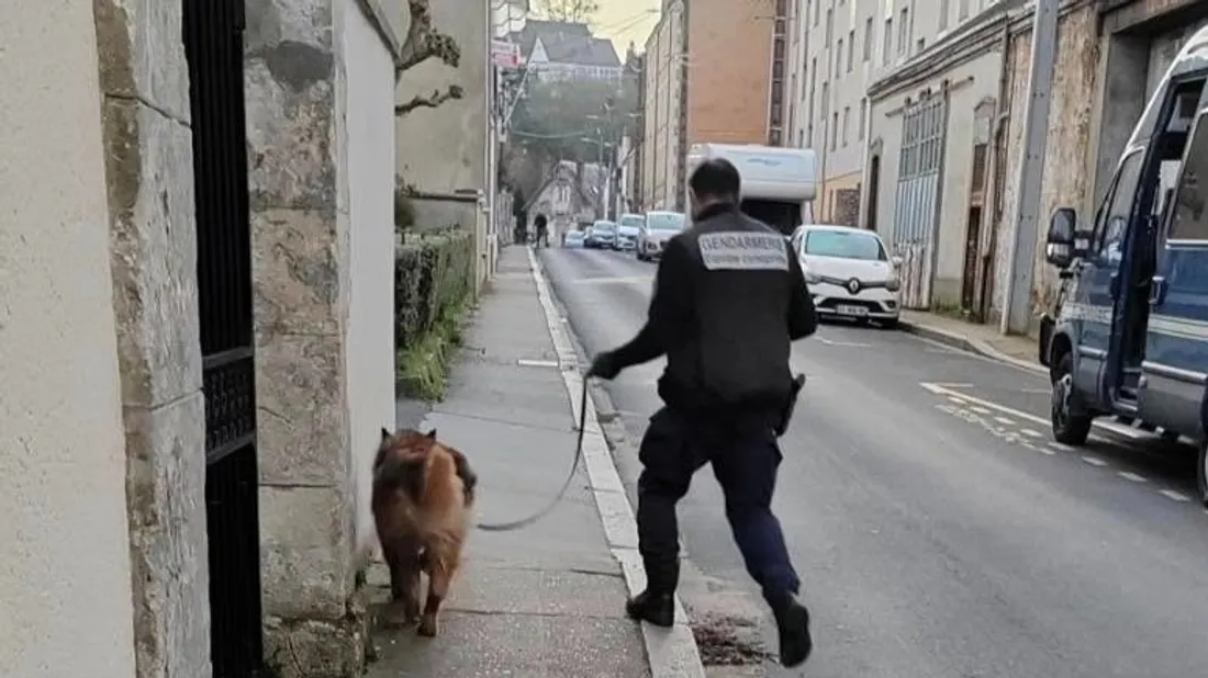 gendarmes chiens nogent-le-rotrou