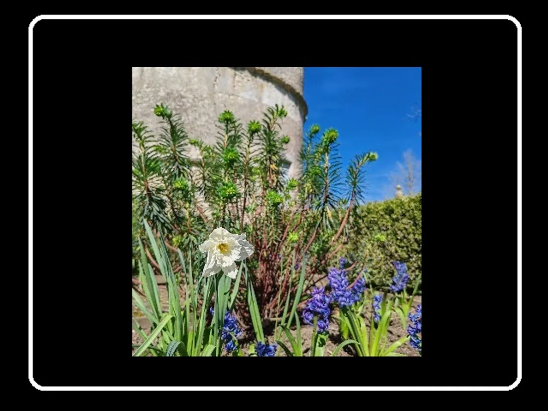 CHÂTEAUDUN - Atelier « Conception de cartes de vœux »