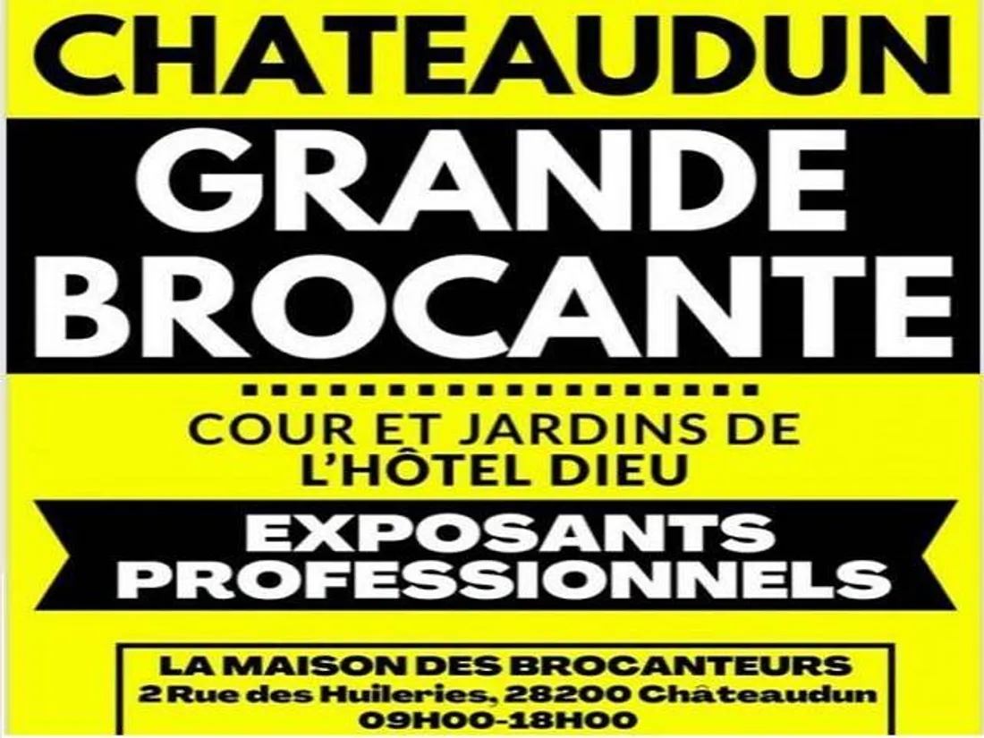 CHÂTEAUDUN - Brocante professionnelle de la maison des brocanteurs