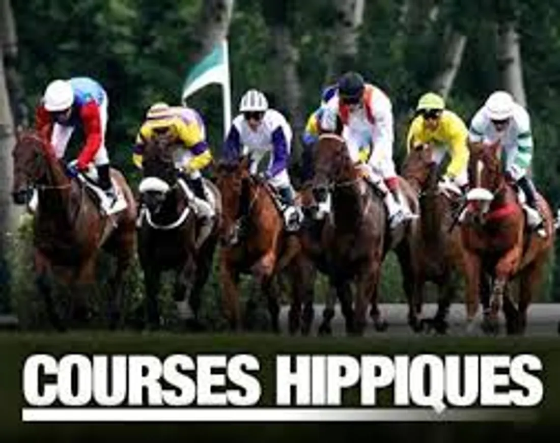 - courses hippiques