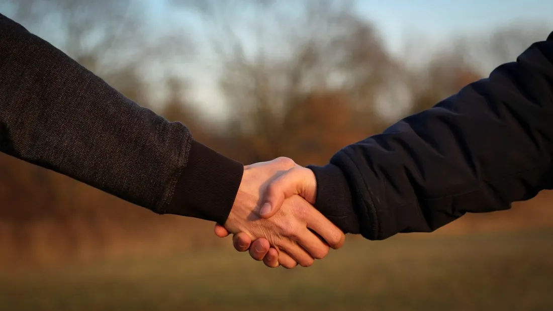 match pour l'emploi illu - poignée de main