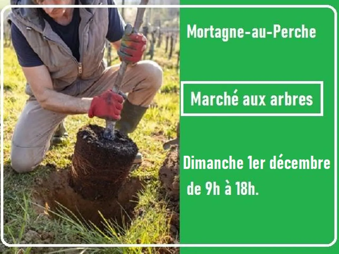 MORTAGNE-AU-PERCHE (61) - Marché aux arbres et aux plantes