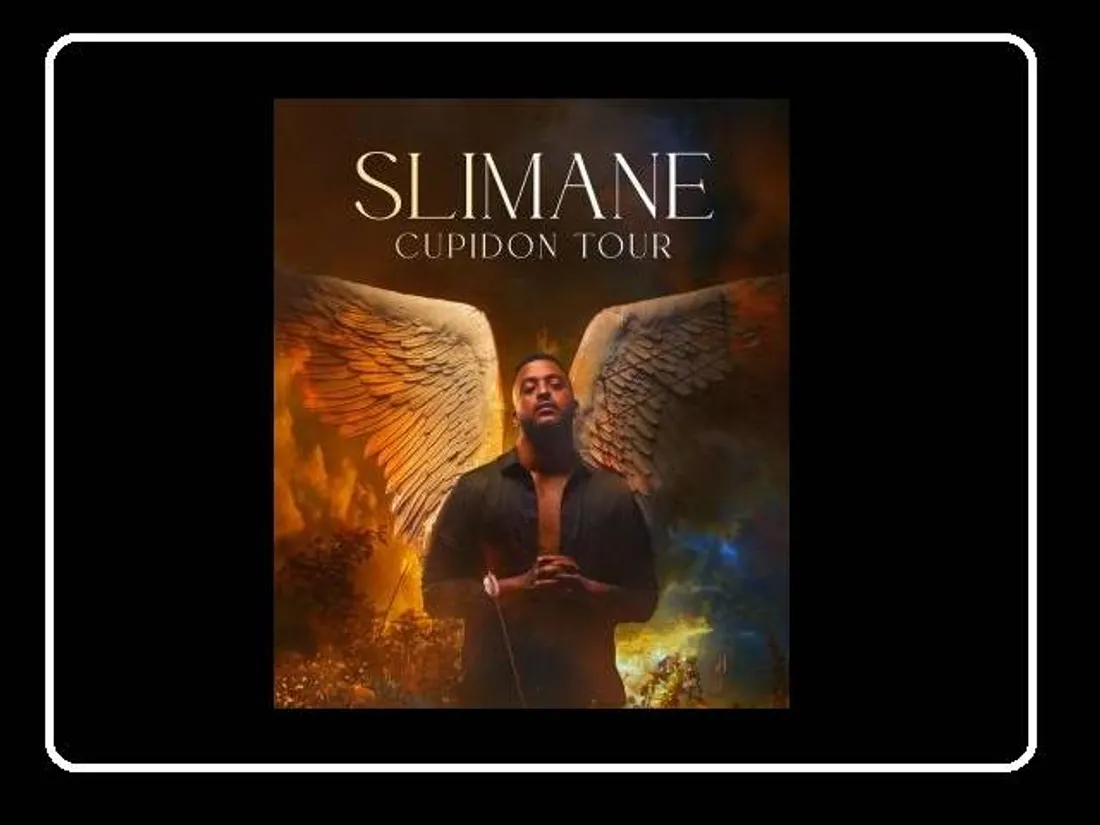 ORLÉANS (45) - Concert : Slimane