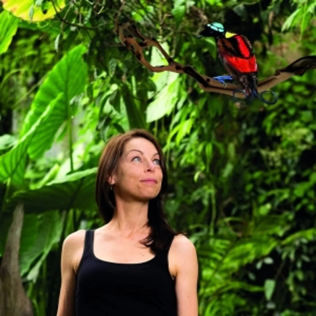 CHARTRES - Théâtre de Chartres : Petit homme et les Paradisiers
