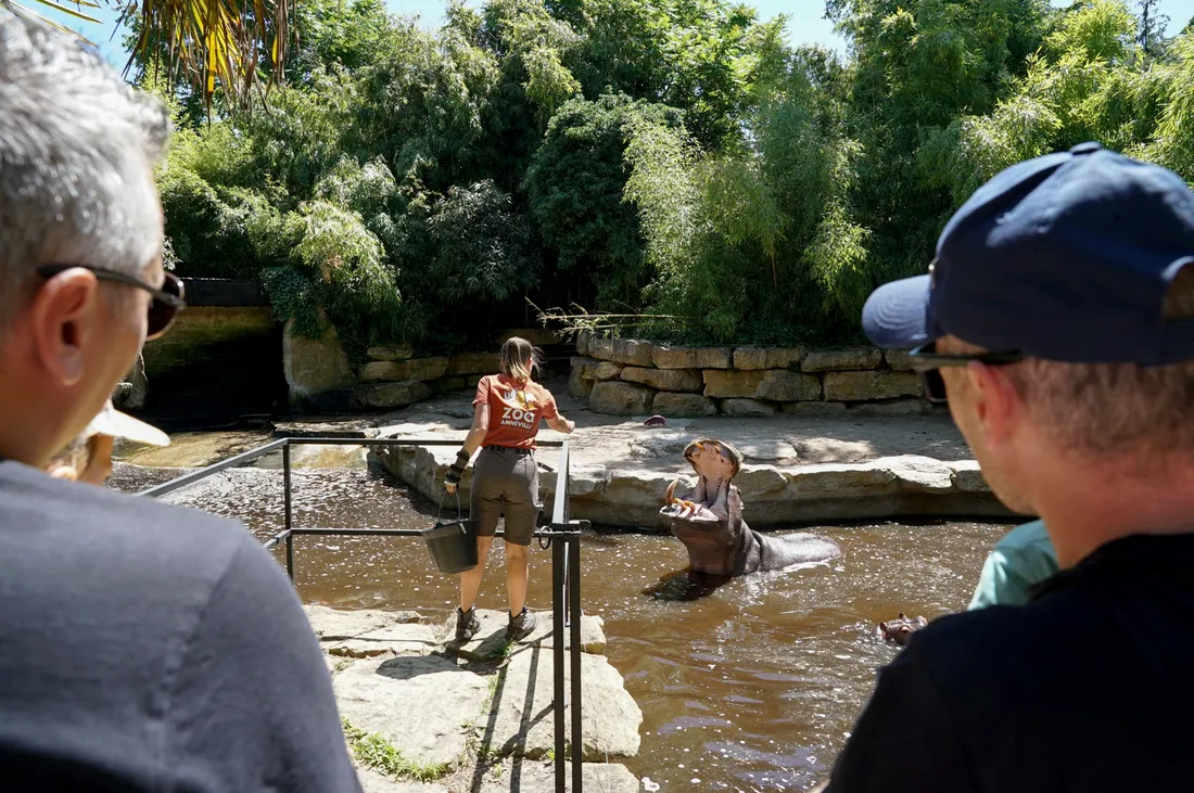 Crédit : Zoo d'Amnéville 