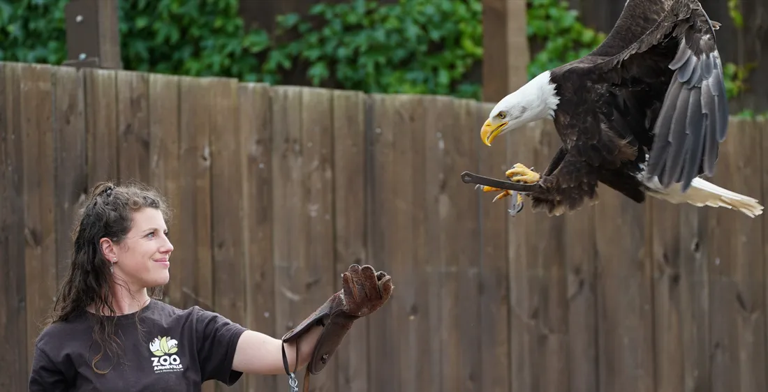 Crédit : Zoo d'Amnéville 