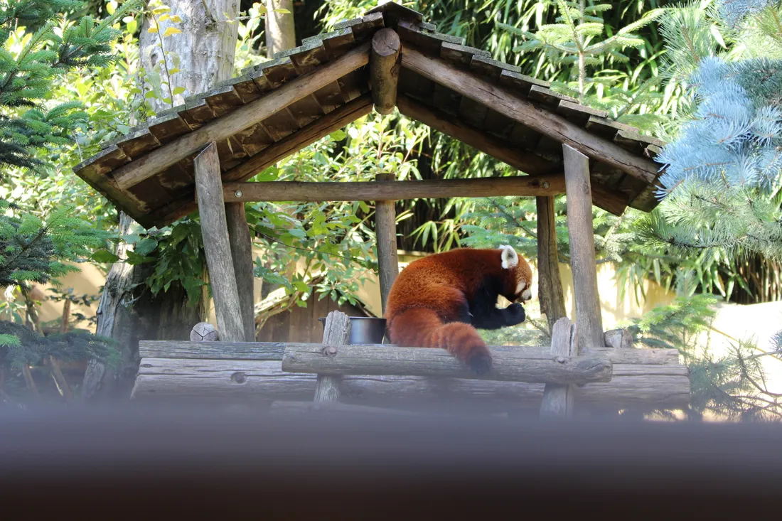 Gagnez vos entrées entre 12h et 13h avec Doriand