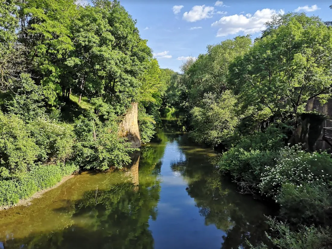 Une balade le long de la Seille