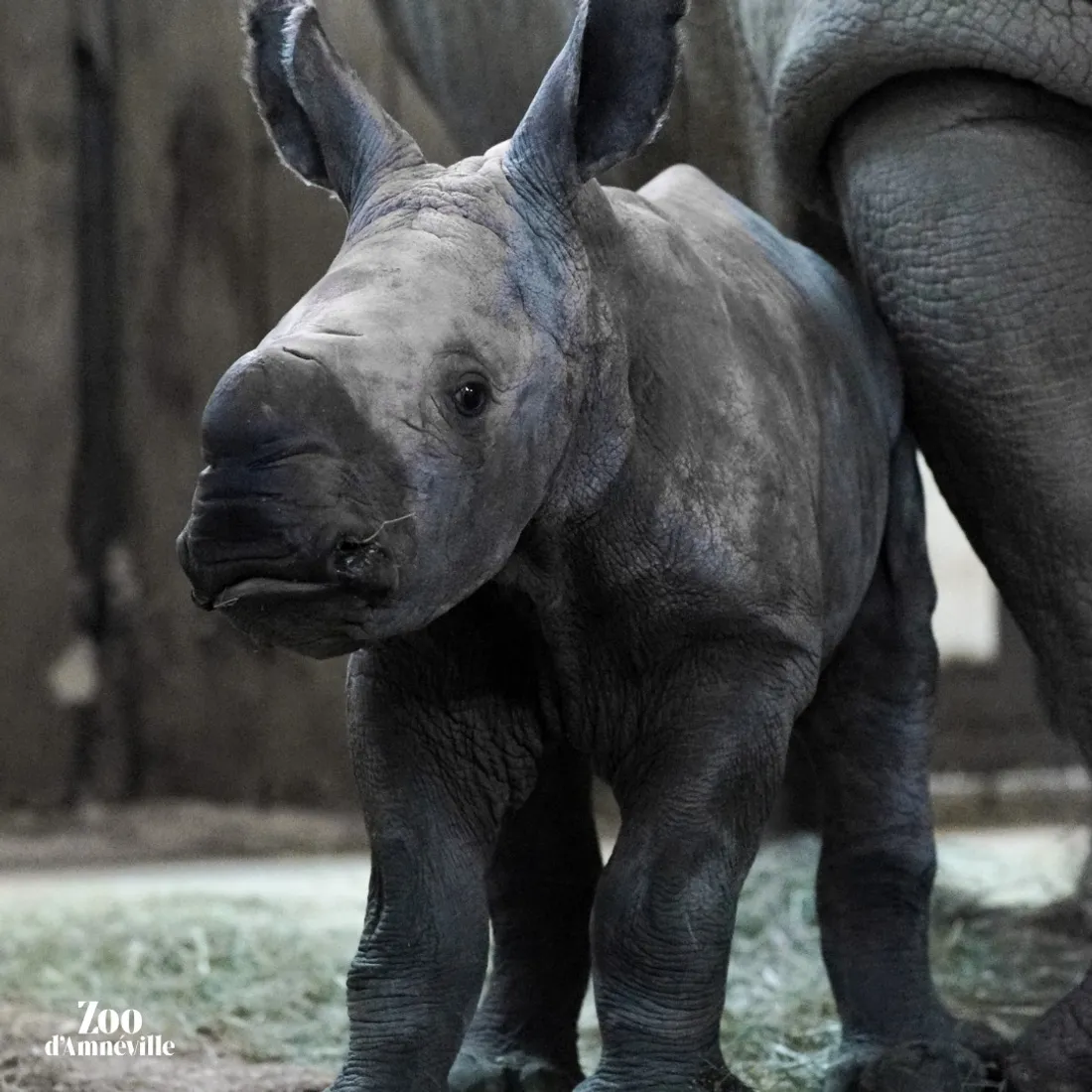 L'heureux événement a eu lieu le mardi 18 janvier 2022