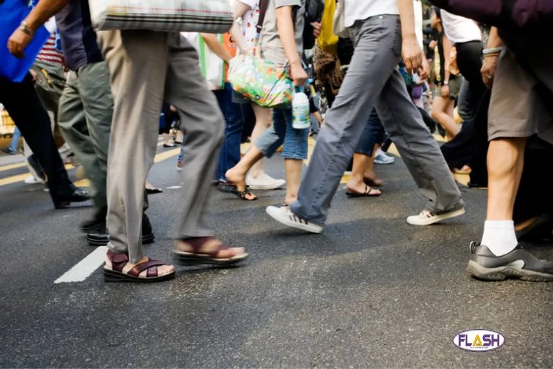 Démographie chiffres Insee Nouvelle Aquitaine et Limousin - 28.12.2023 FLASH FM