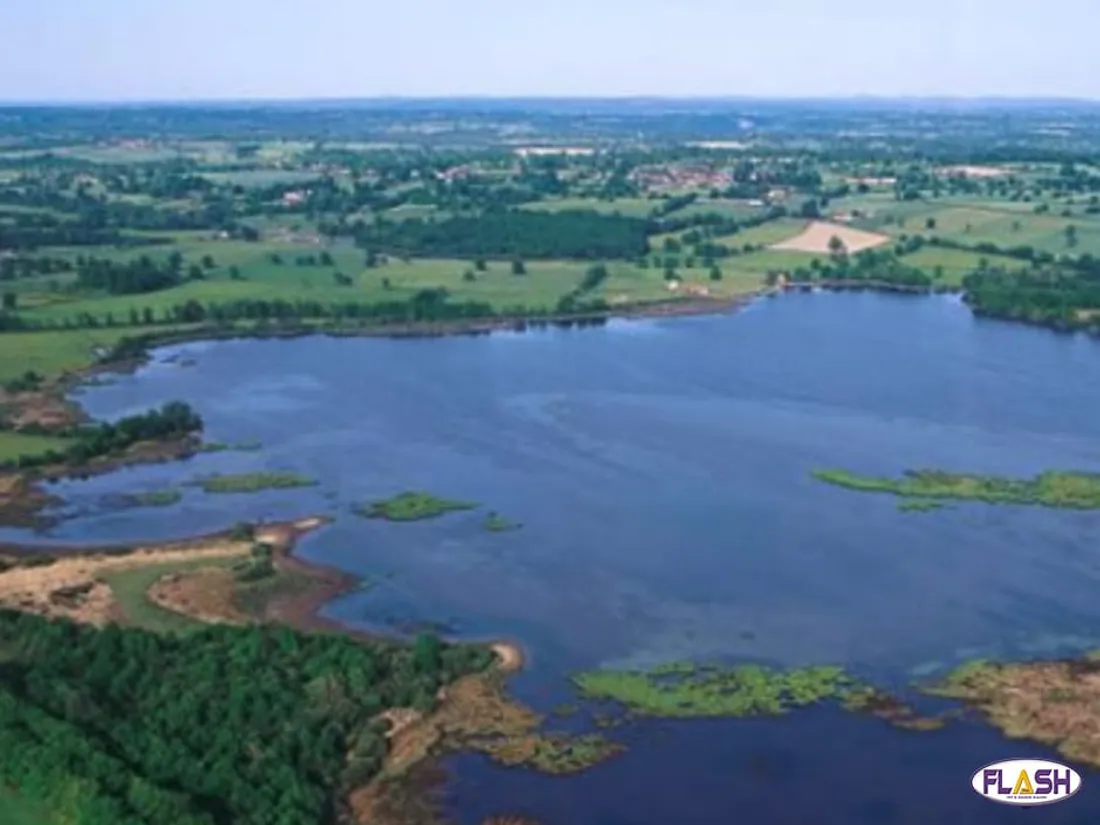 Etang des Landes 28 janvier 2025