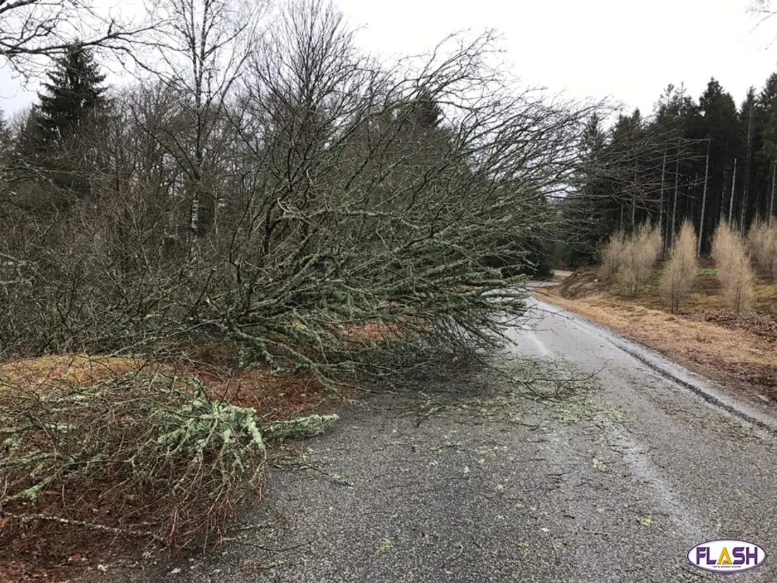 Tempete 22 novembre 2024