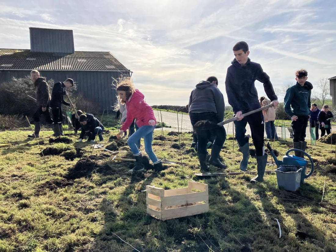 Bêches, brouette et semis étaient de sortie lors de cette matinée. 