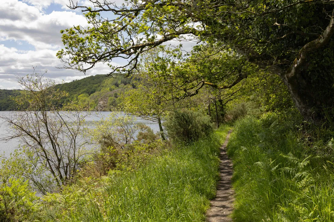 Les berges du lac de Guerlédan