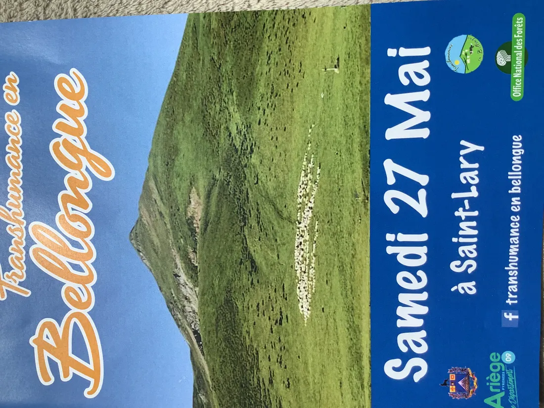 Transhumance en Bellongue